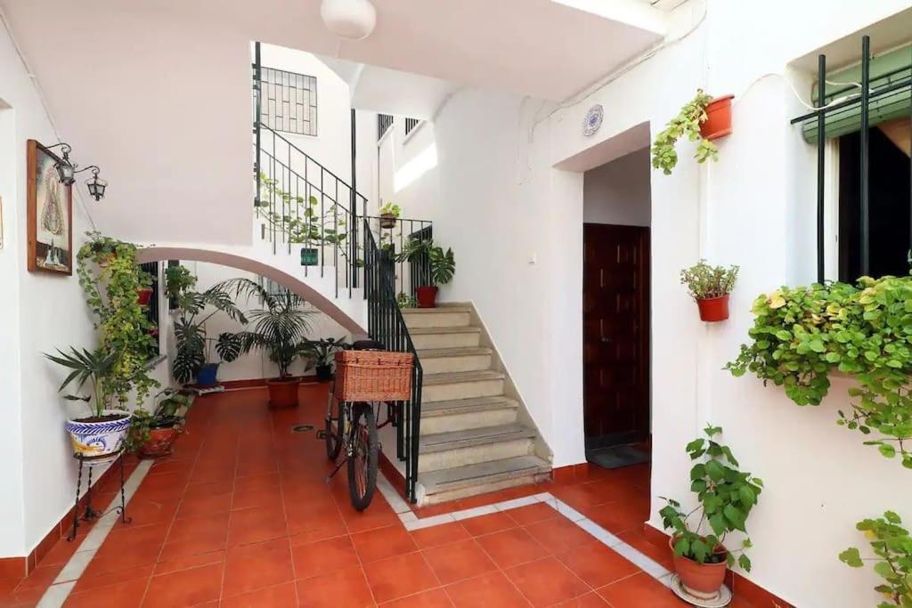 Kinahouse Lejlighed Córdoba Eksteriør billede